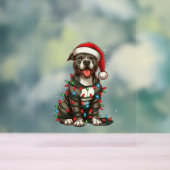 Feux de Noël de Chien à mâchoire Santa Chapeau Noë (Neutre)