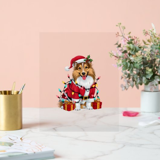 Feux de Noël Père Noël Sheltie Chien Noël _1 (Mariage)