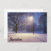 Feux de rue et couvert de neige carte postale (Devant / Derrière)