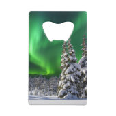 Feux nordiques en hiver (Dos)