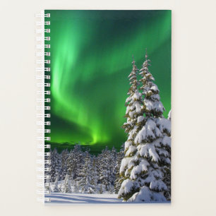 Feux nordiques en hiver
