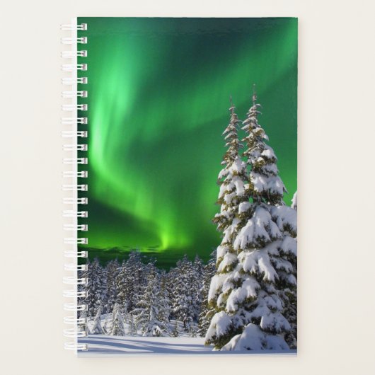 Feux nordiques en hiver (Devant)