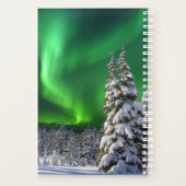 Feux nordiques en hiver (Dos)
