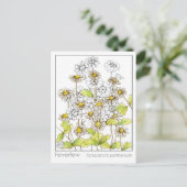 Feverfew Materia Medica Herbal Study Kaart (Staand voorkant)