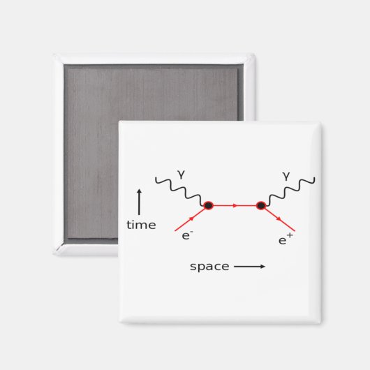 Feynman Diagram Physics Magneet (Voorkant / Achterkant)