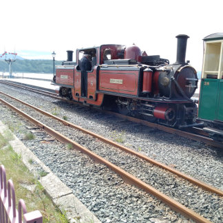 Ffestiniog and Transport for Wales Keyring Sleutelhanger