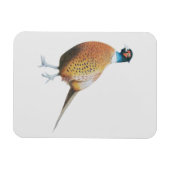 Fheasant 2012 magneet (Horizontaal)