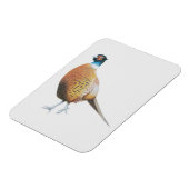 Fheasant 2012 magneet (Linkerzijde)