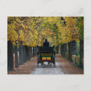 Fiaker in Schönbrunn, Wien Österreich Briefkaart