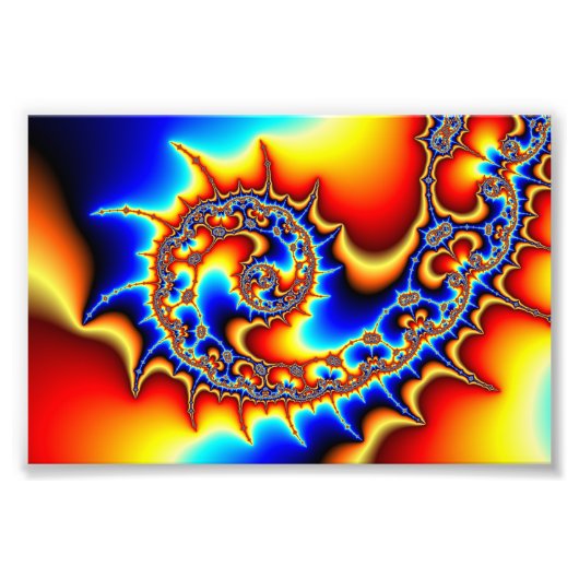 Fibonaccispikant Foto Afdruk (Voorkant)