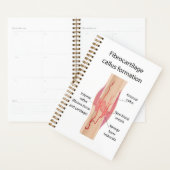 Fibrocartilage Formation de cales (Devant avec enveloppe)