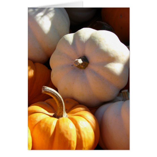 Fichier citrouille (Devant)