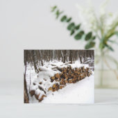 Fichier journal dans la carte postale Woods (Debout devant)