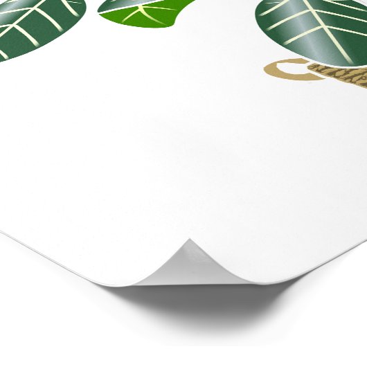 Ficus benghalensis 'Audrey' Fig Tree Poster Imprim (Coin)