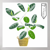 Ficus benghalensis 'Audrey' Fig Tree Poster Imprim (Devant)