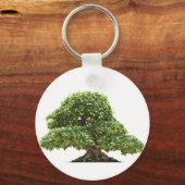 Ficus bonsai geïsoleerd sleutelhanger (Voorkant)