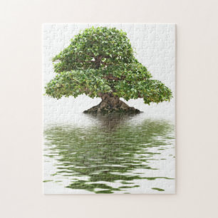 Ficus bonsai legpuzzel