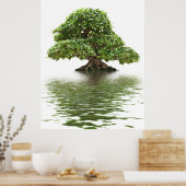 Ficus bonsai poster (Keuken)