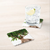 Ficus Ginseng Kartonnen Onderzetters (Insitu)