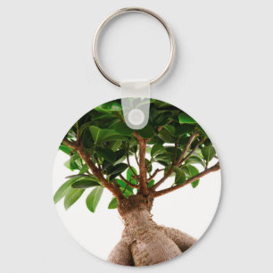 Ficus Ginseng Sleutelhanger