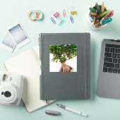Ficus Ginseng Sticker (iPad Cover)