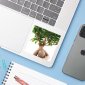 Ficus Ginseng Sticker (Laptop met iPhone)