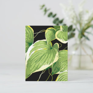 Ficus Plant 3 Feestdagenkaart