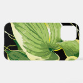 Ficus Plant 3 iPhone Hoesje (Achterkant horizontaal)