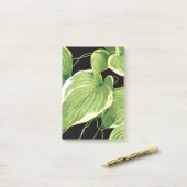 Ficus Plant 3 Post-it® Notes (Op bureau)