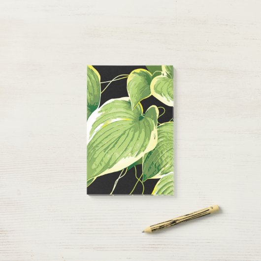 Ficus Plant 3 Post-it® Notes (Op bureau)