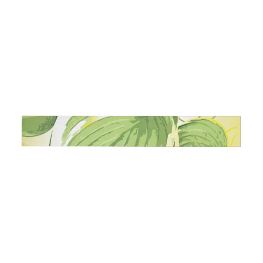 Ficus Plant 4 (Individueel)