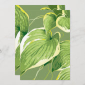 Ficus Plant 5 Bedankkaart (Voorkant / Achterkant)