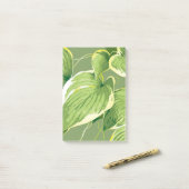 Ficus Plant 5 Post-it® Notes (Op bureau)
