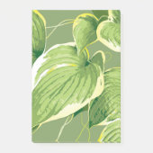 Ficus Plant 5 Post-it® Notes (Voorkant)