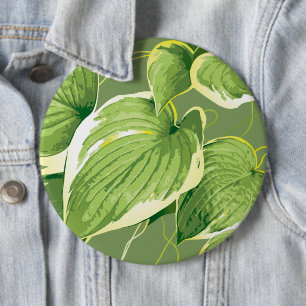 Ficus Plant 5 Ronde Button 6,0 Cm