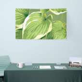 Ficus Plant 5 Spandoek (Beurs)