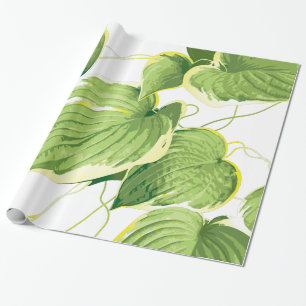 Ficus Plant Cadeaupapier