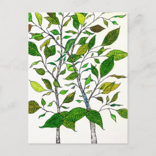 Ficus Plant Kleurpotlood Boom Tekening Briefkaart