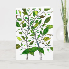 Ficus Plant Kleurpotlood Boom Tekening Kaart
