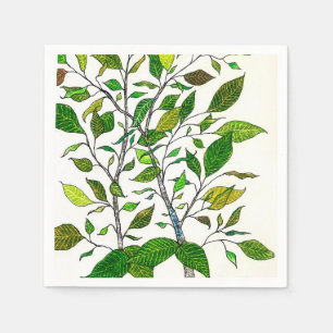 Ficus Plant Kleurpotlood Boom Tekening Servet