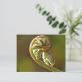 Fiddlehead Fern Briefkaart (Staand voorkant)