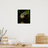 Fiddlehead Fern print (Keuken)