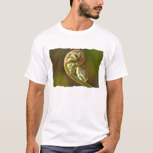 Fiddlehead Fern T-shirt
