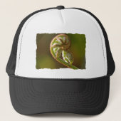 Fiddlehead Fern Trucker Pet (Voorkant)