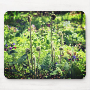 Fiddlehead Ferns and Flowers Muismat