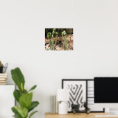 Fiddlehead Ferns Spring Natuur #4 Poster (Thuiskantoor)