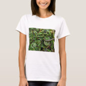 Fiddlehead Ferns T-shirt (Voorkant)