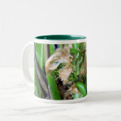 fiddlehead-mok tweekleurige koffiemok (Voorkant links)