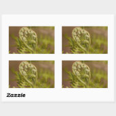 Fiddlehead Varen Hart Foto Rechthoekige Sticker (Vel)