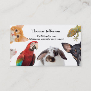 Fidélité Carte de visite du service de pose pour animaux